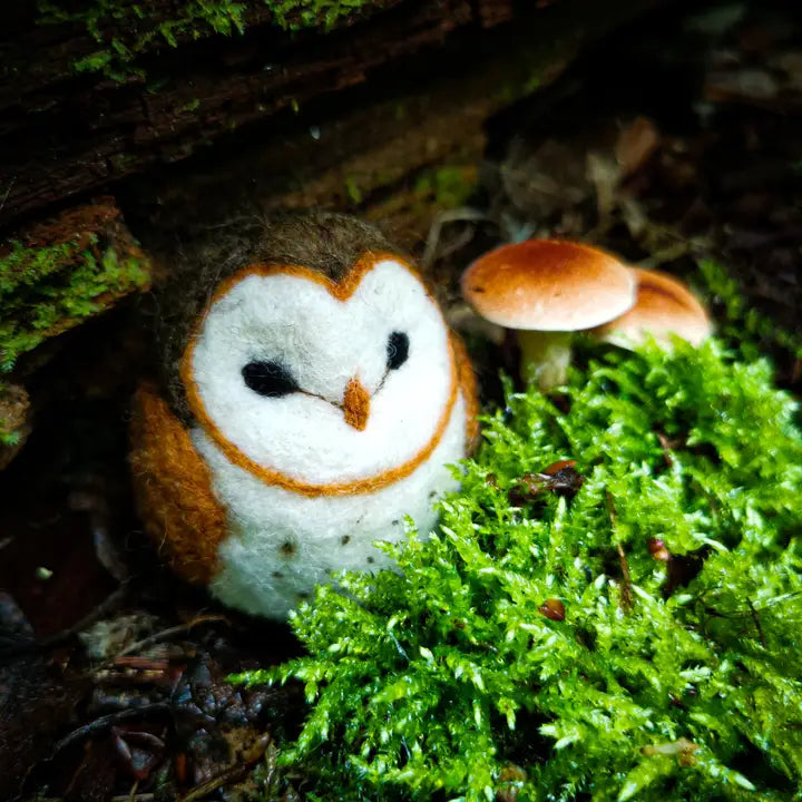 Barn Owl