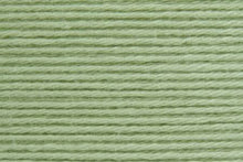 Load image into Gallery viewer, Sage 011
