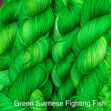 Load image into Gallery viewer, Green Siamese Fighting Fish
