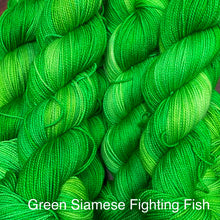 Load image into Gallery viewer, Green Siamese Fighting Fish
