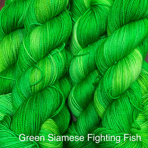 Green Siamese Fighting Fish