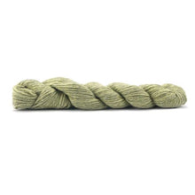 Load image into Gallery viewer, Pistachio 45 
