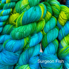 Load image into Gallery viewer, Surgeon Fish