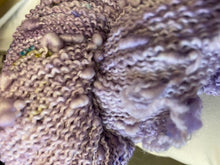 Load image into Gallery viewer, Lilac