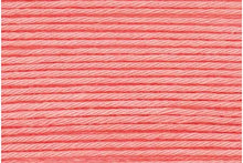 Load image into Gallery viewer, Salmon 21