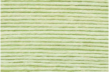 Load image into Gallery viewer, Pastel Green 45