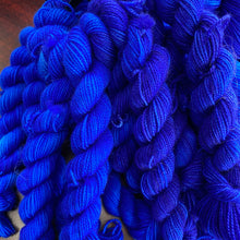 Load image into Gallery viewer, Royal Blue Tang mini