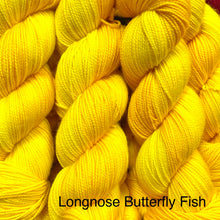 Load image into Gallery viewer, Longnose Butterfly Fish