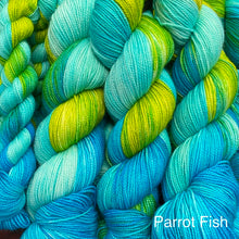 Load image into Gallery viewer, Parrot Fish