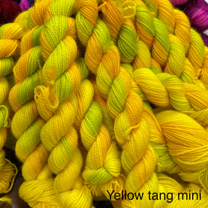 Yellow Tang mini
