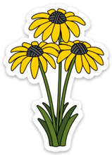 Load image into Gallery viewer, black eyed susan
