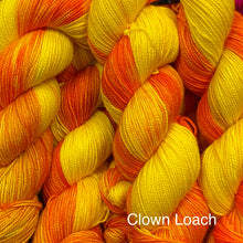 Load image into Gallery viewer, Clown Loach