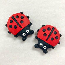Load image into Gallery viewer, Ladybug
