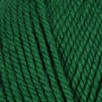 Load image into Gallery viewer, Christmas Green 54