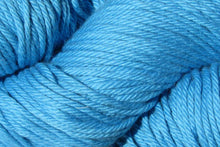 Load image into Gallery viewer, dutch blue 620