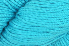 Load image into Gallery viewer, turquoise