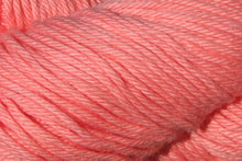 Load image into Gallery viewer, salmon