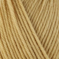 Load image into Gallery viewer, 3325 Delicata