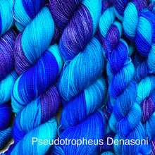 Load image into Gallery viewer, Pseudotropheus Denasoni