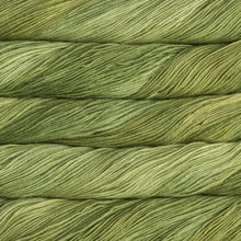 Load image into Gallery viewer, 037 Lettuce