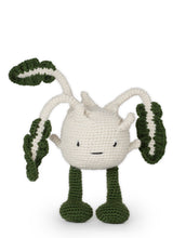 Load image into Gallery viewer, Kohlrabi