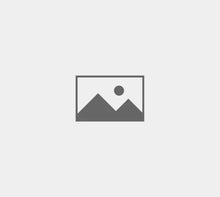 Load image into Gallery viewer, No photo