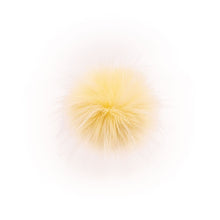 Load image into Gallery viewer, Raccoon Light Yellow